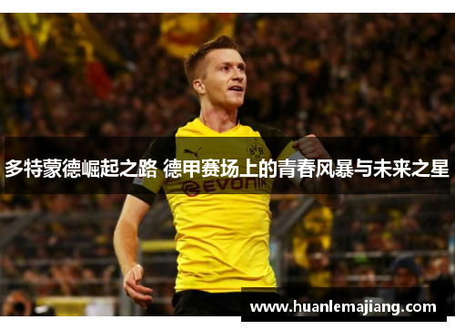 多特蒙德崛起之路 德甲赛场上的青春风暴与未来之星